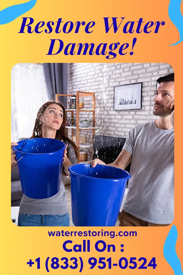 water restoration Precision Water Mitigation Bellaire