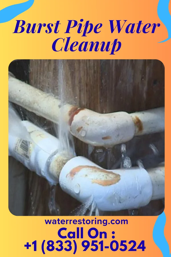 Burst Pipe Water Cleanup in Bellaire, OH