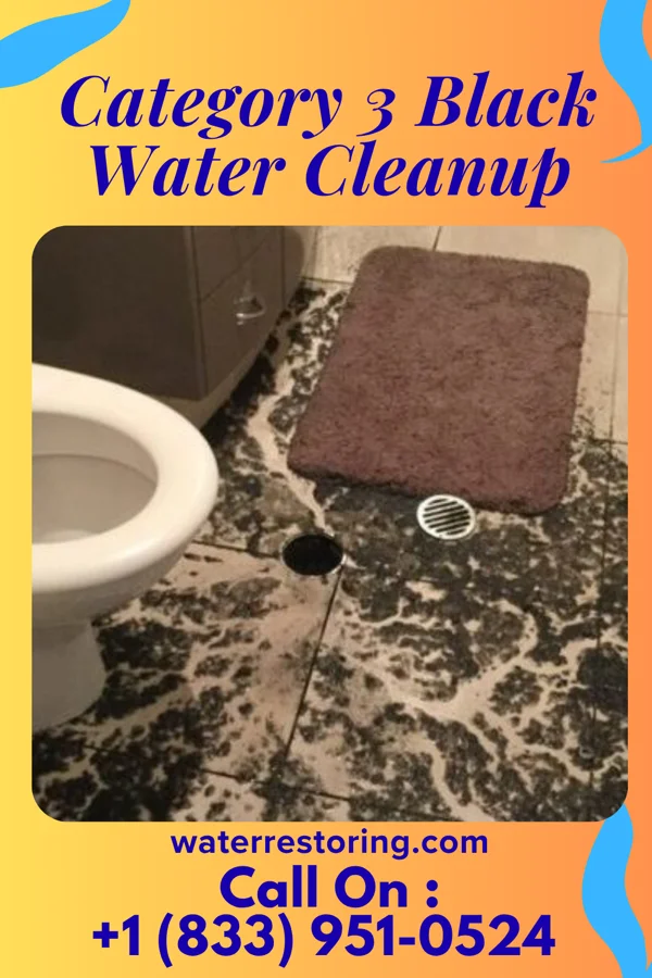 Category 3 Black Water Cleanup in Bellaire, OH