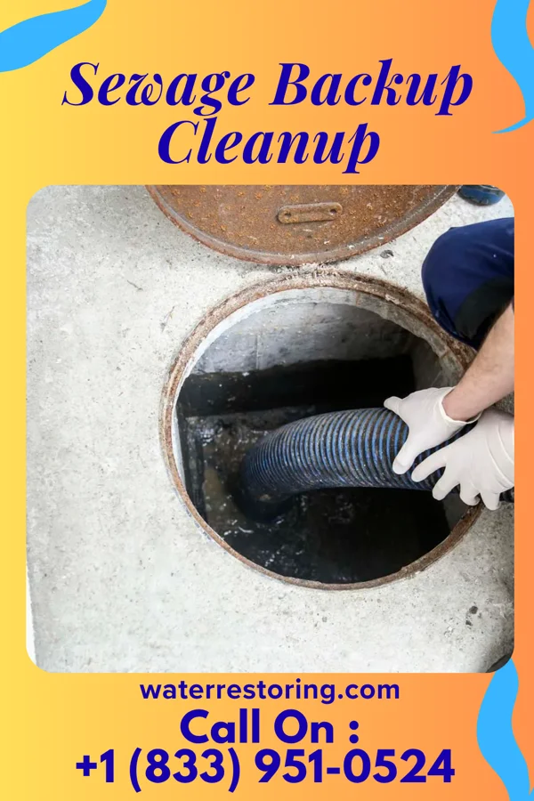 Sewage Backup Cleanup in Bellaire, OH