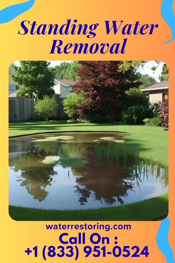 Standing Water Removal in Bellaire, OH